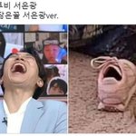 서은광 닮은꼴 왜이렇게 많엌ㅋㅋㅋㅋㅋㅋㅋㅋ