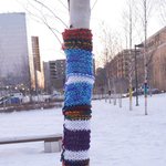 [알래스카] 알래스카 " 나무에 니트를 입히다 "