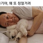 고딩들아 들어와줘 이거 팔까ㅜ