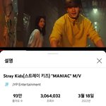 [스키즈] 뮤비 300만 <b>돌파</b>