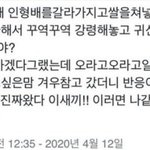 한녀들아 뭐가 더 좋냐? 추반ㄱ