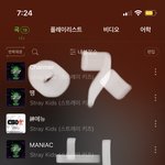 [스키즈] 일단 인증하자…..