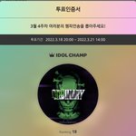 [스키즈] 쇼챔투표 100번했다