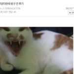 근데 독서실 개인실에 <b>cctv</b> 없지?