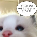 [댓글부탁해] 너희 가족 엠비티아이 말해봐봐