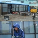 <b>번장</b>에서 누가 구매 가능하냐고 왔는데