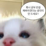 [추반] 고1 동아리<b>B</b> 뭐들까 <b>추천</b>좀 ㅠㅠㅠㅠ