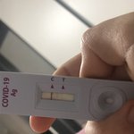 아니 이거 <b>양성</b>임????