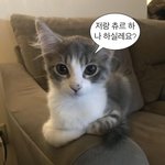 카톡<b>채팅</b>방나가면