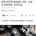 코로나로 오천명 사망