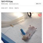 <b>그</b> <b>글</b> 기억나는 사람 ㅠ