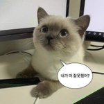 내 이상형 특이하냐