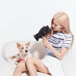 로제 <b>행크</b>