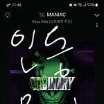 [스키즈] 미국쇼 매니악