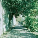 [댓글부탁해] <b>슈밤</b> 학생회 떨어졌네~~~