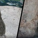 <b>SBS</b> <궁금한 이야기﻿Y>에서 사라진 수락산 정상석 관련 제보를...