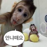 핫한 카페는 알바 뽑을 <b>때</b> <b>얼굴</b> 많이 봄?