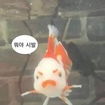 우리 <b>체육</b>쌤 14상 연하 여친있음