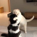 셀카 올리고 몇 <b>시간</b> 뒤에 보면 <b>이상</b>하게 보이는거 잇자나
