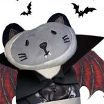 ㅁㅏ복필 영상에 나오는 고양이<b>인형</b> <b>이름</b>뭐야?