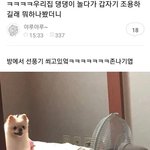 [댓글부탁해] <b>infj</b> 인프제 질문 받는당