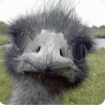 [조언부탁해] 판녀드라 나 좀 도와죠ㅠㅠㅠ