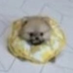 [댓글부탁해] 가디건 큰거 <b>사서</b> 건조기 돌려 입는거 ㄱㅊ??