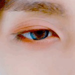 팬사랑 쩌는 아이돌