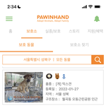 얘드라 혹시 여기 강아지 <b>입양</b> 고려하는애들 있닝?