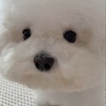 [드루와] 성형 후기 (질문해주라..)