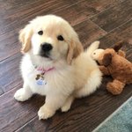 와 나 오늘 진짜 많이 자려고 했는데