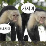 반수 생각중인데 ㄹㅇ 현타옴