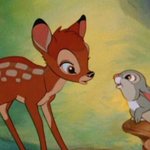 [댓글부탁해] 설윤보고 <b>밤비</b> 닮았다는거