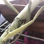 엄마가 벌레를 먹였습니다(사진있음/주의)