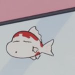 동키즈 팬 있어??