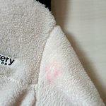 [도와줘댓글] 바람 아닌가요?