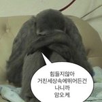 [댓글부탁해] 졸업사진 옷 <b>대여</b>