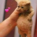 10초뒤 삭제) <b>몸</b> <b>사진</b>