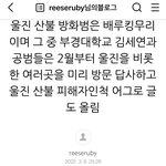 울진산불 방화범 일부러 안잡는 이유