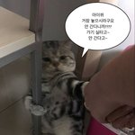 [19] 초딩때 깽판쳤던학원 다니는거 에<b>바냐</b>
