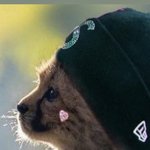 [NCT드림] 드림 디렉터님 <b>인</b><b>스스</b>ㅠㅠㅋㅋㅋㅋㅋ +추가