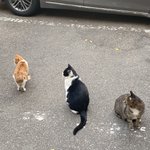 3년 <b>잠수</b> 탔다가 연락