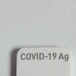 [19] 자가진단 양성떴어