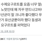 엄마가 요구르트를 만드는 이유