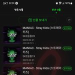 [스키즈] 스밍 투표