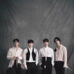 14년차에 <b>매년</b> 완전체 앨범 내주는 아이돌