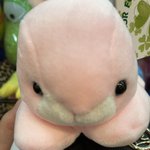 [드루와] <b>냉동</b>보관 두달한 피자 먹어도됨?