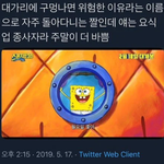 스폰지밥이 <b>월요일</b>을 좋아하는 논리적인 이유