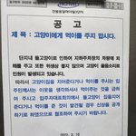 길고양이 밥주면 <b>신상</b>공개한다는 아파트!!!!이래도 되는 건가요?
