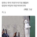 [NCT드림] 아 개귀여웤ㅋㅋ